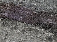 P1001041